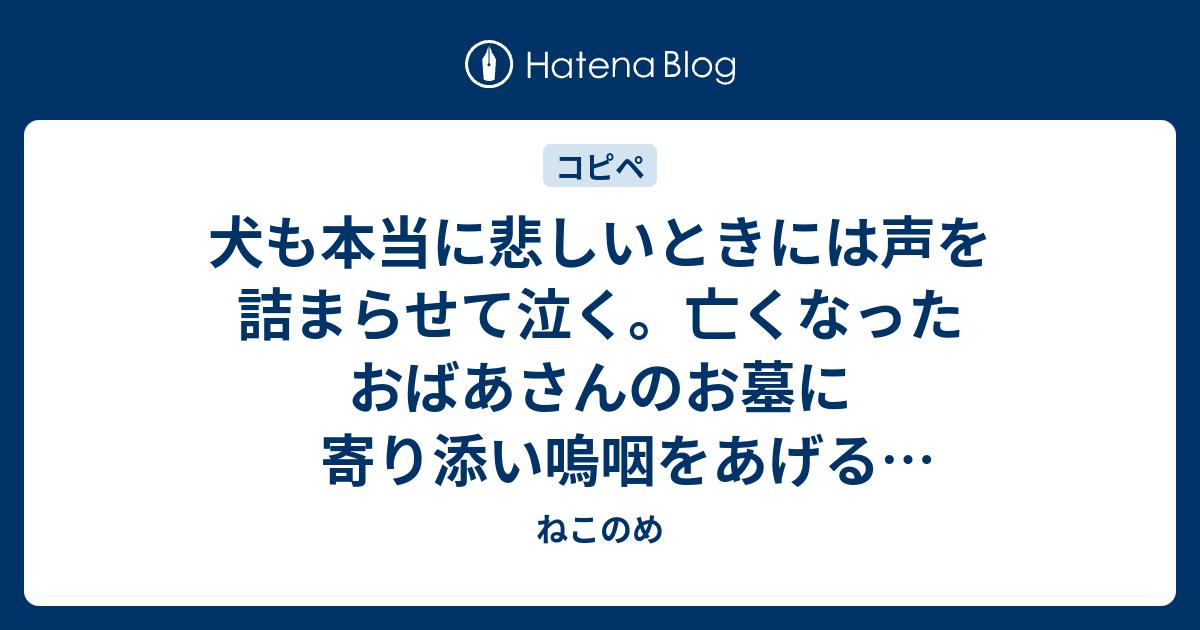 犬も本当に悲しいときには声を詰まらせて泣く 亡くなったおばあさんのお墓に寄り添い嗚咽をあげるウルフドッグ アメリカ ねこのめ