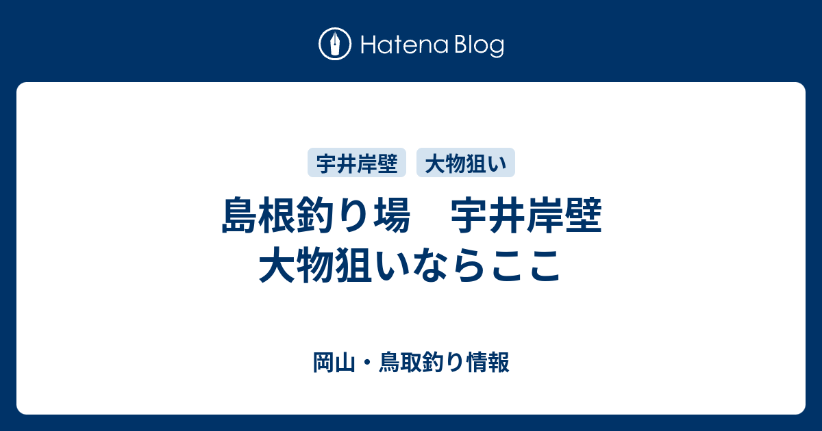 島根釣り場 宇井岸壁 大物狙いならここ 岡山 鳥取釣り情報