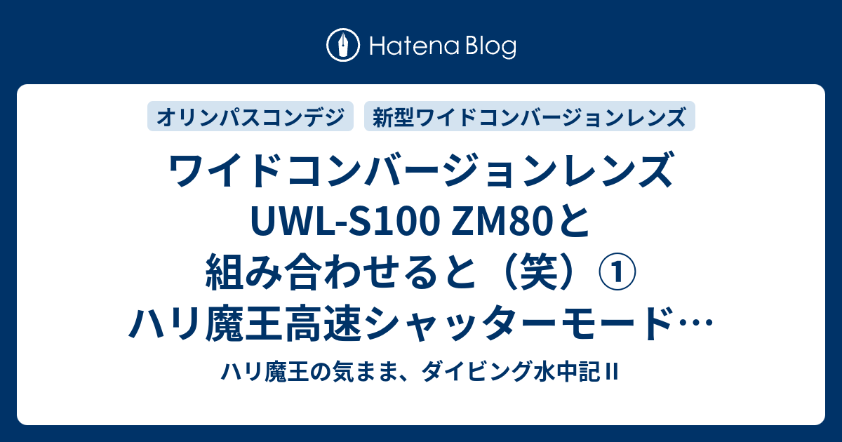 ワイドコンバージョンレンズ UWL-S100 ZM80と組み合わせると(笑)① ハリ魔王高速シャッターモードの撮影データ公開 Tough TG-6+ NauticamTG-5〈TG-6〉 - ハリ魔王の気まま、ダイビング水中記Ⅱ ワイドコンバージョンレンズ UWL-S100 ZM80と組み合わせると(笑)① ハリ魔王高速シャッターモードの撮影データ公開 Tough TG-6+ NauticamTG-5〈TG-6〉 - ハリ魔王の気まま、ダイビング水中記Ⅱ