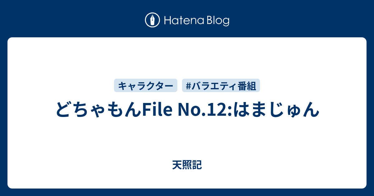 どちゃもんfile No 12 はまじゅん 天照記