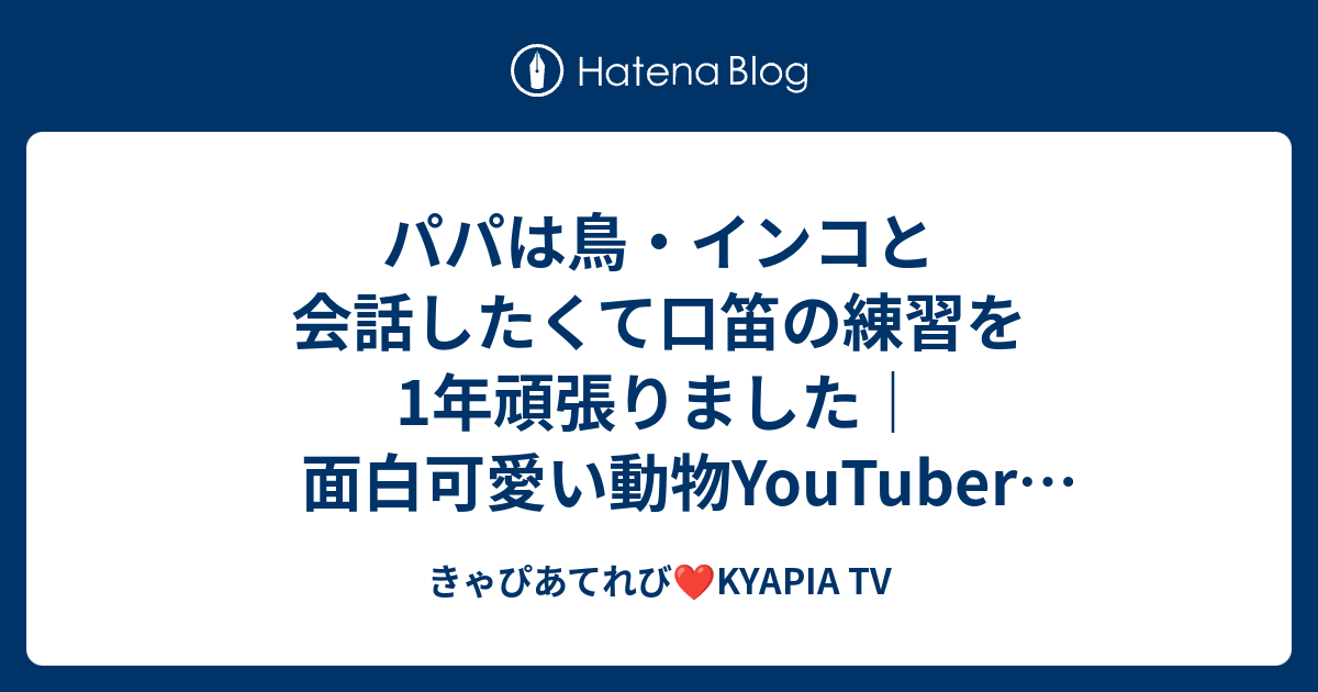 パパは鳥 インコと会話したくて口笛の練習を1年頑張りました 面白可愛い動物youtuber 癒し動画 ユーチューバー 子なし主婦 夫婦のvlog Kyapia Tv