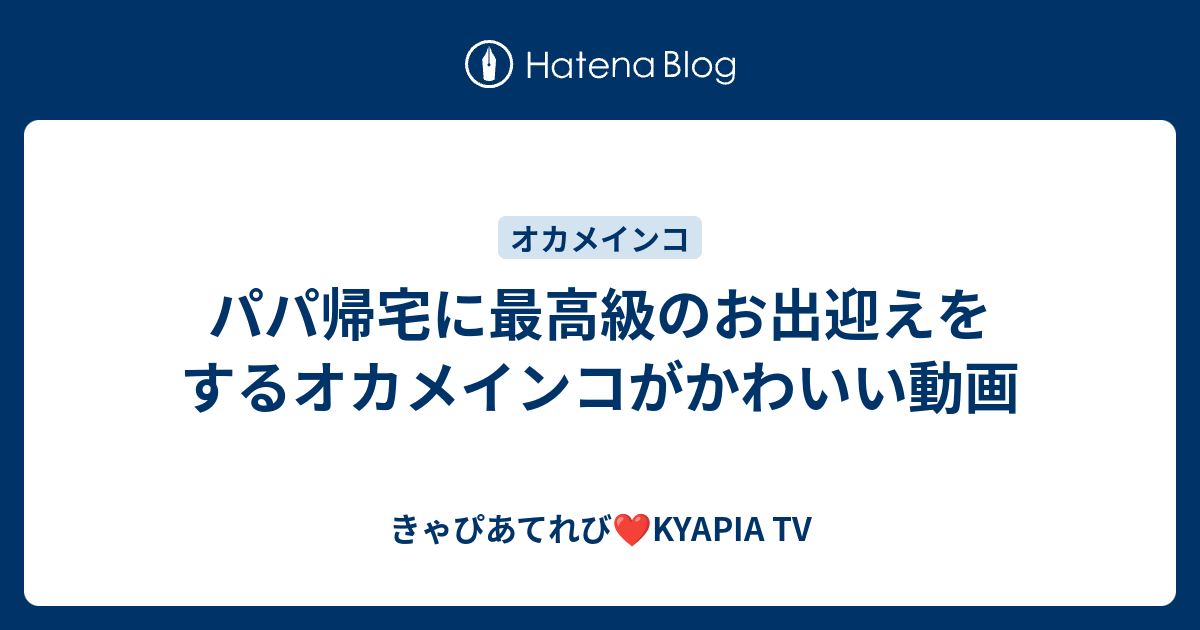 パパ帰宅に最高級のお出迎えをするオカメインコがかわいい動画 動物多頭飼いユーチューバー Kyapia Tv