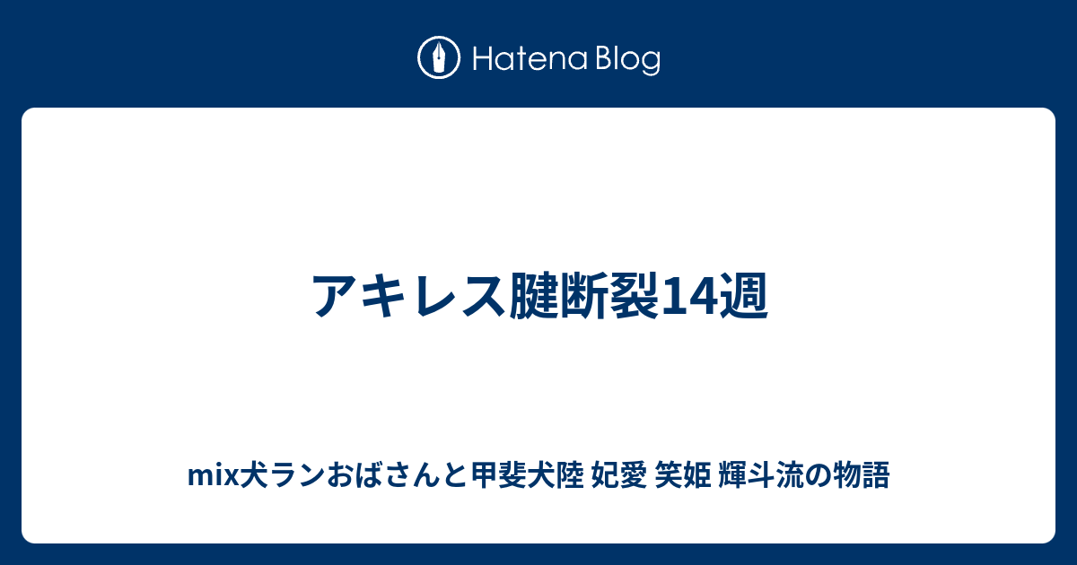 アキレス腱断裂14週 Mix犬ランおばさんと甲斐犬陸 妃愛 笑姫 輝斗流の物語