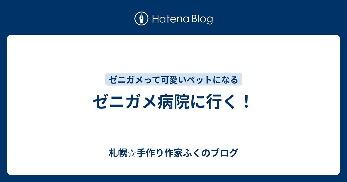 ゼニガメ病院に行く 札幌 手作り作家ふくのブログ