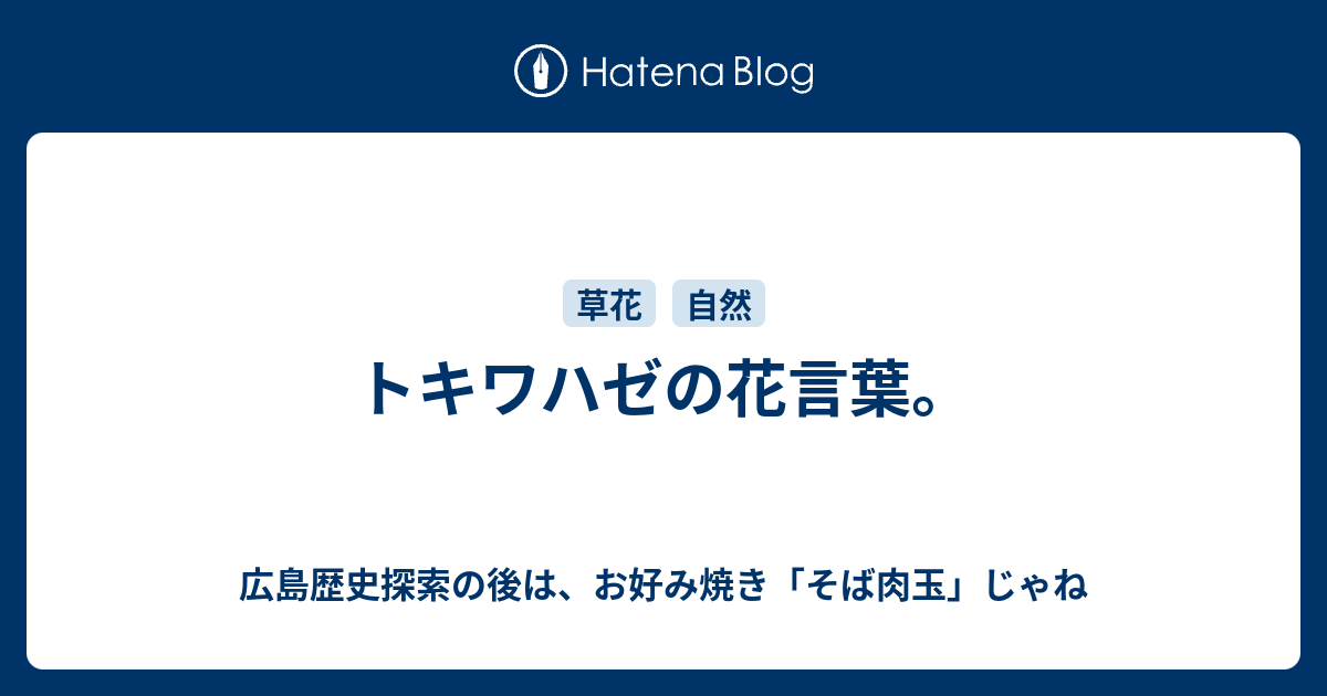 トキワハゼの花言葉 広島歴史探索の後は お好み焼き そば肉玉 じゃね