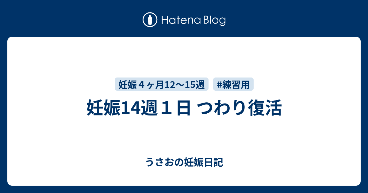 妊娠14週１日 つわり復活 Keichan0403 S Blog