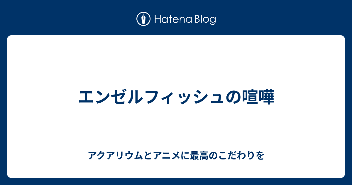 エンゼルフィッシュの喧嘩 アクアリウムとアニメに最高のこだわりを