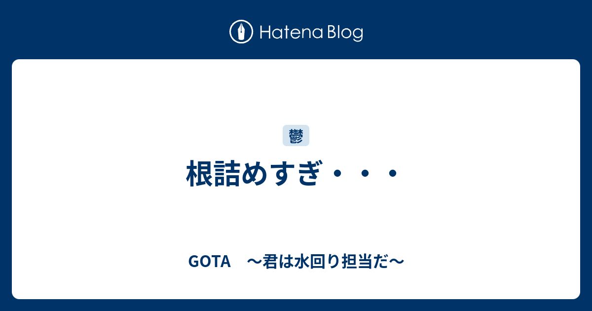 根詰めすぎ Gota 君は水回り担当だ