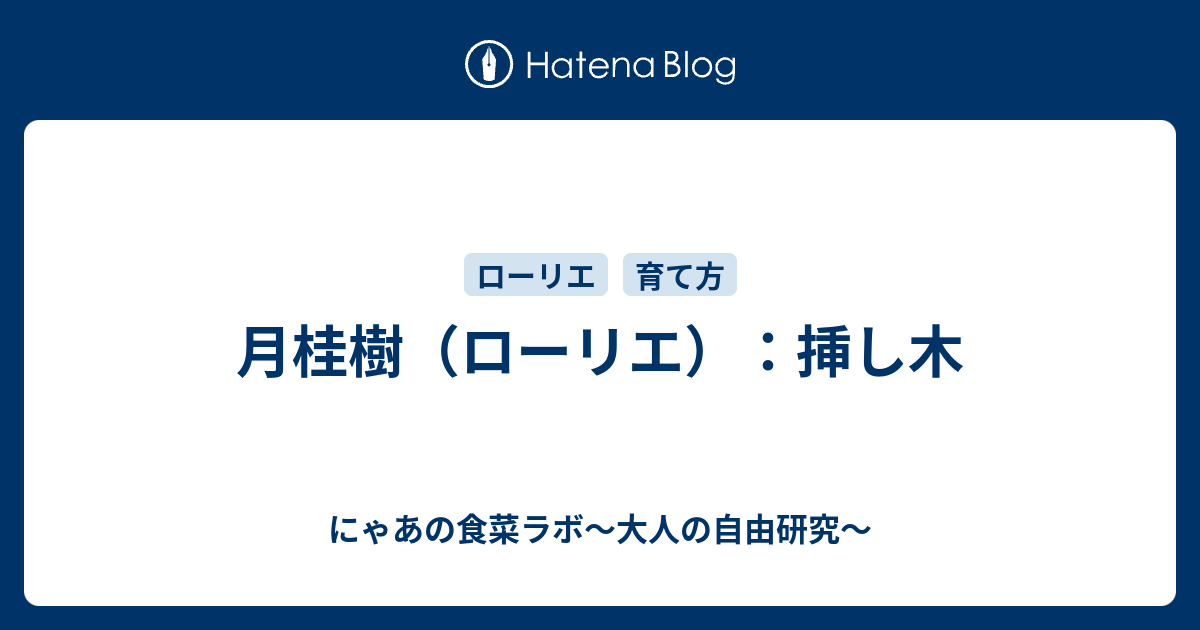 月桂樹 ローリエ 挿し木 にゃあの食菜ラボ 大人の自由研究