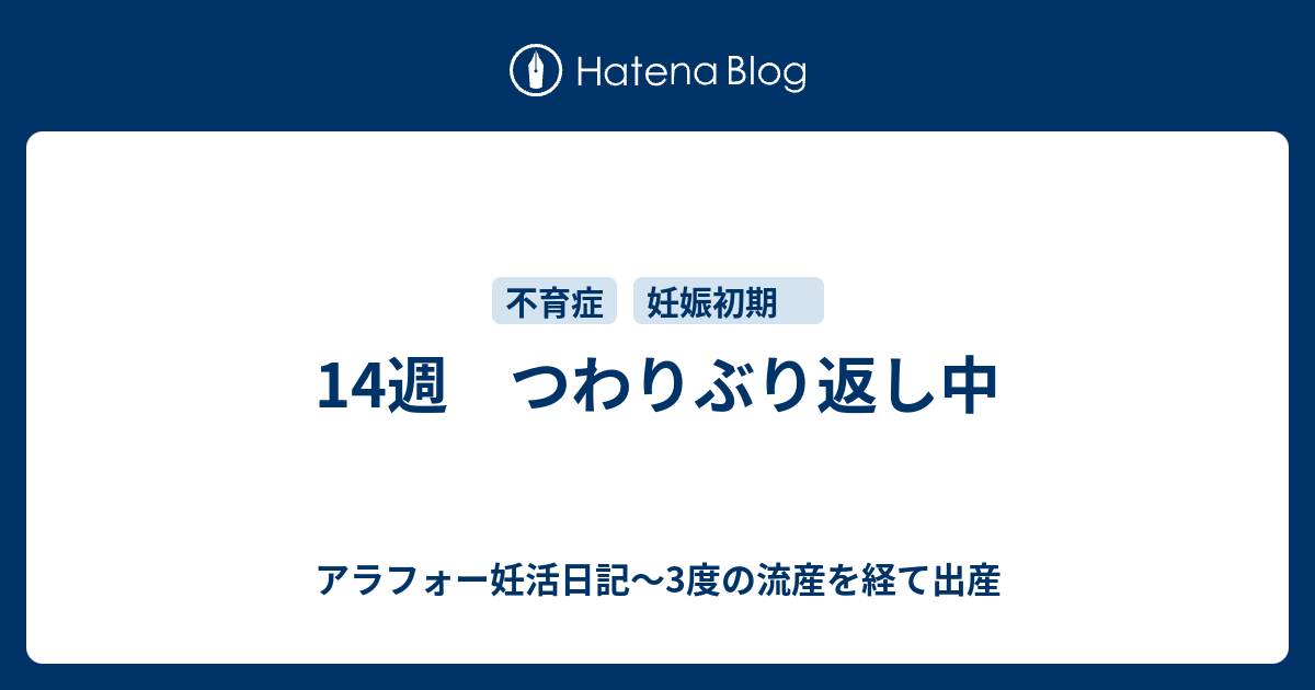 14週 つわりぶり返し中 アラフォー妊活日記〜3度の流産を経て出産
