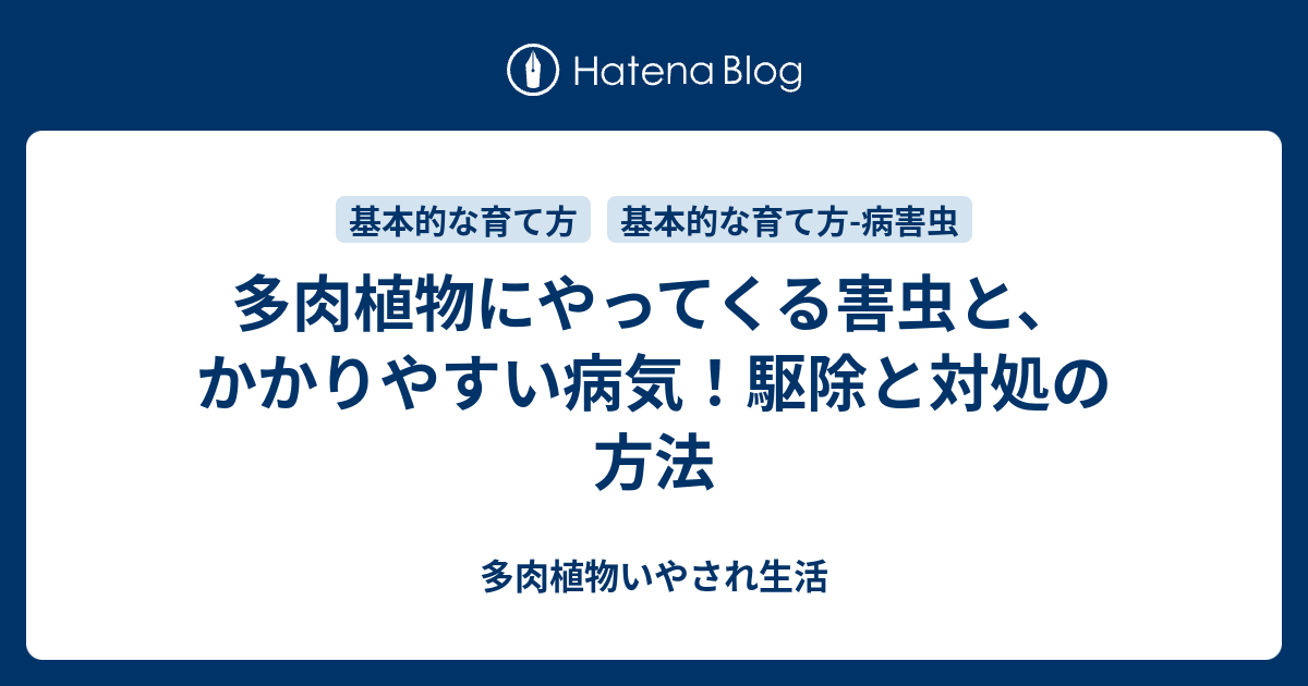 多肉植物にやってくる害虫と かかりやすい病気 駆除と対処の方法 多肉植物いやされ生活