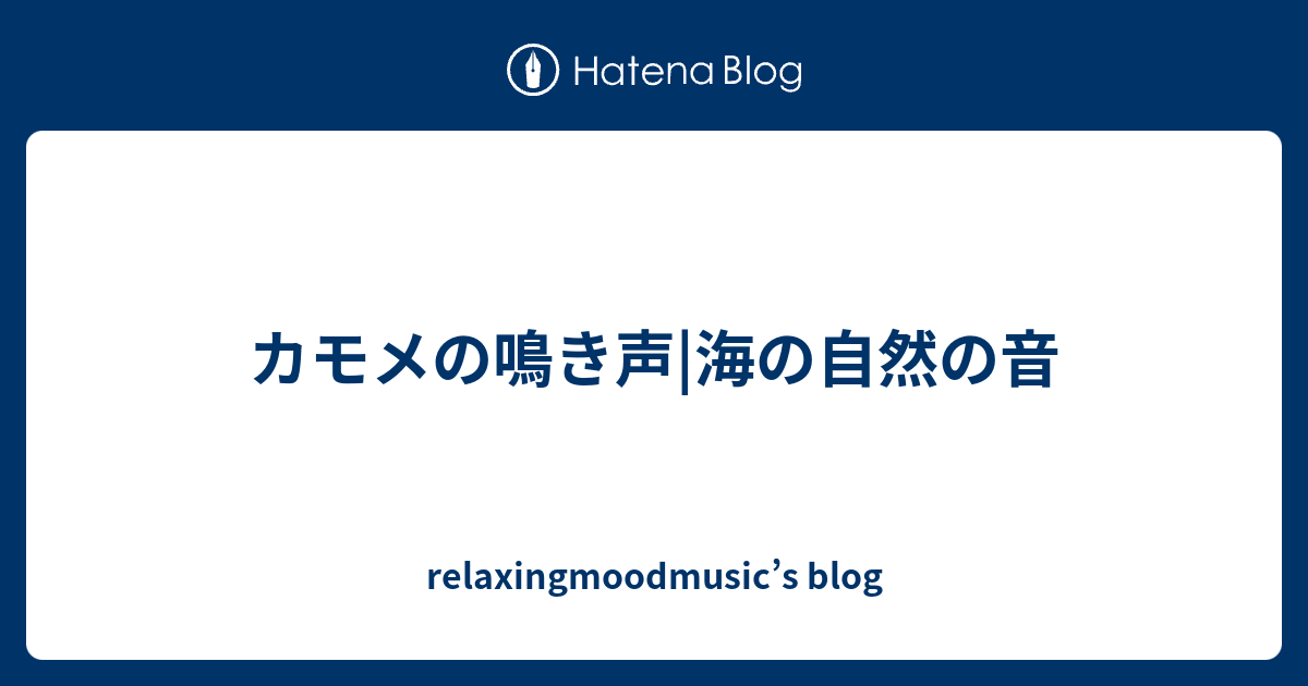 カモメの鳴き声 海の自然の音 Relaxingmoodmusic S Blog