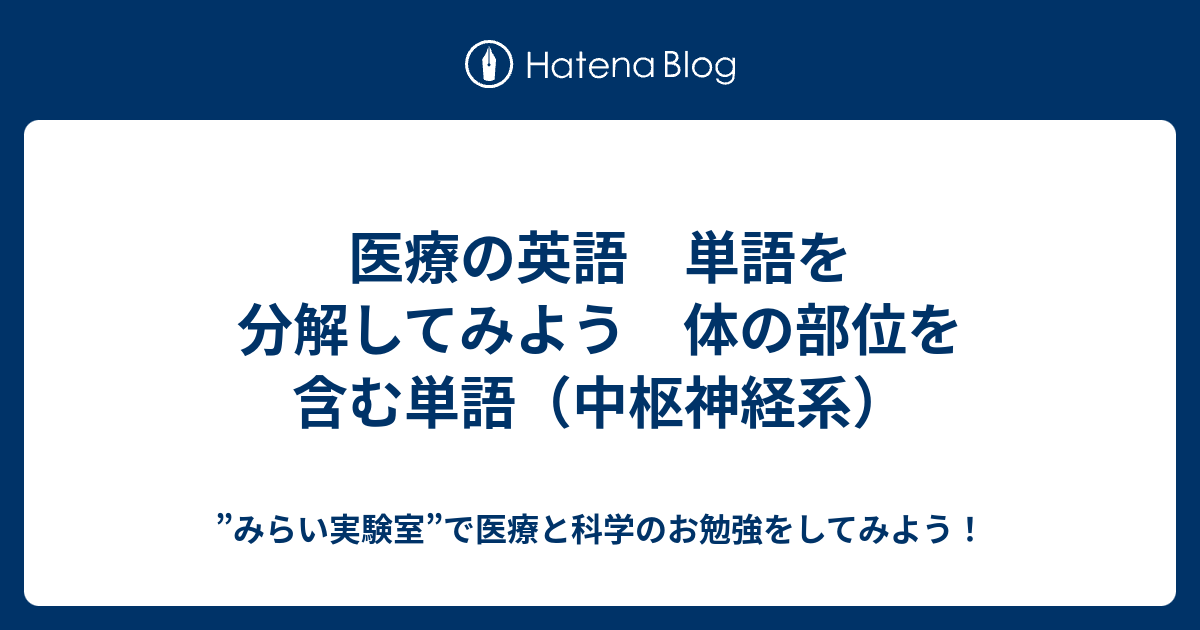 医療の英語 単語を分解してみよう 体の部位を含む単語 中枢神経系 みらい実験室 で医療と科学のお勉強をしてみよう