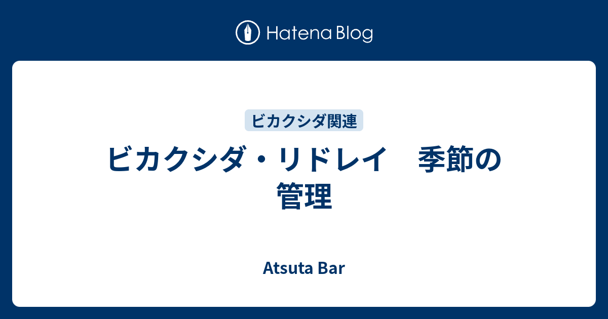 ビカクシダ リドレイ 季節の管理 Atsuta Bar