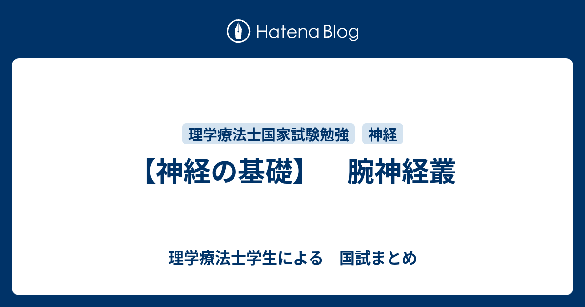 神経の基礎 腕神経叢 理学療法士学生による 国試まとめ