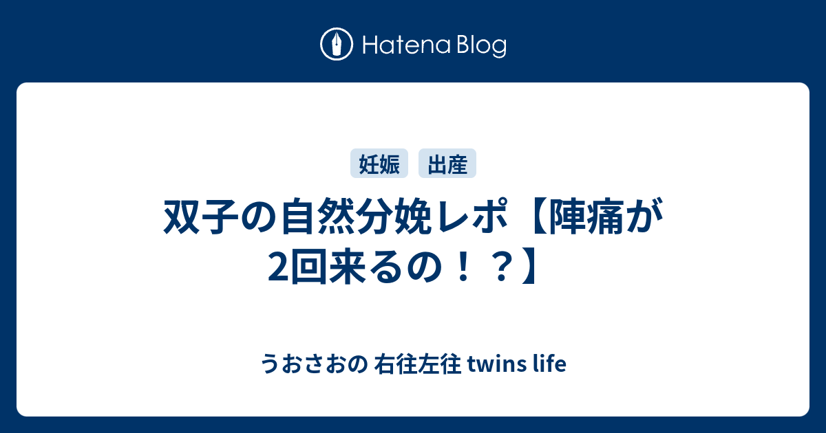 双子の自然分娩レポ 陣痛が2回来るの うおさおの 右往左往 Twins Life