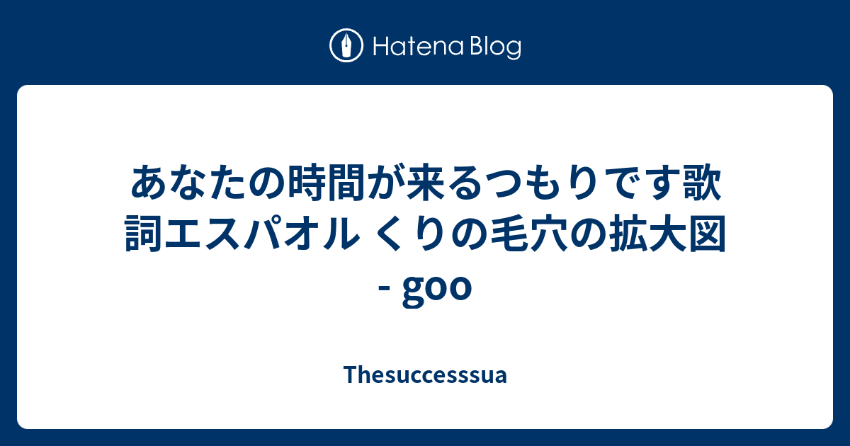 あなたの時間が来るつもりです歌詞エスパオル くりの毛穴の拡大図 Goo Thesuccesssua