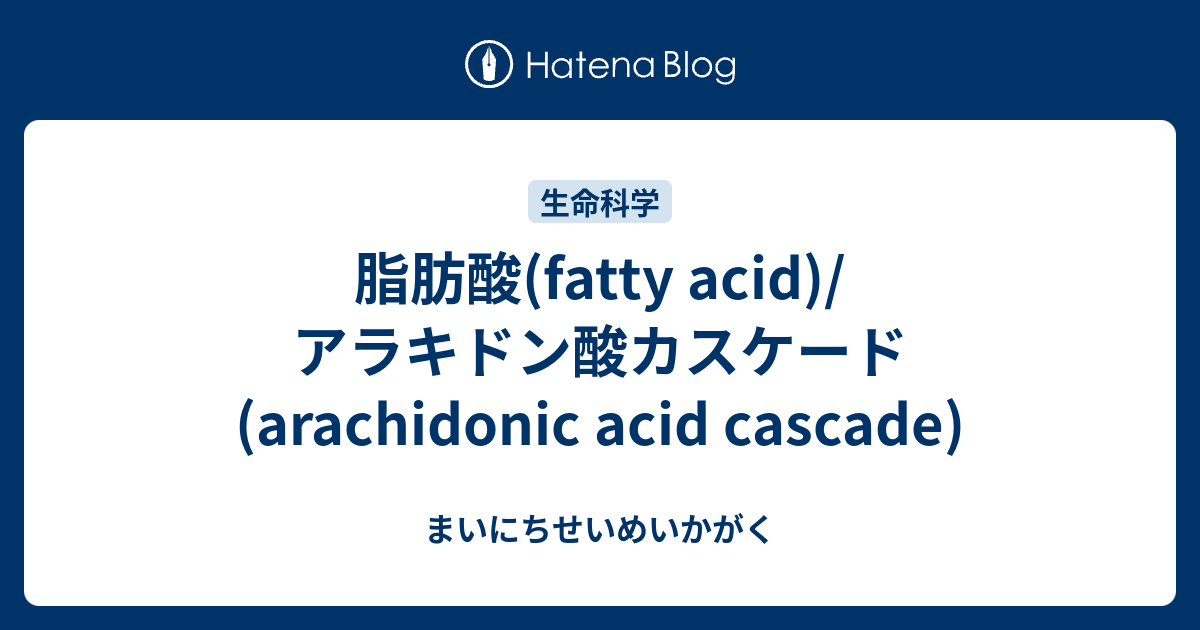 脂肪酸(fatty acid)/アラキドン酸カスケード(arachidonic acid cascade) - まいにちせいめいかがく