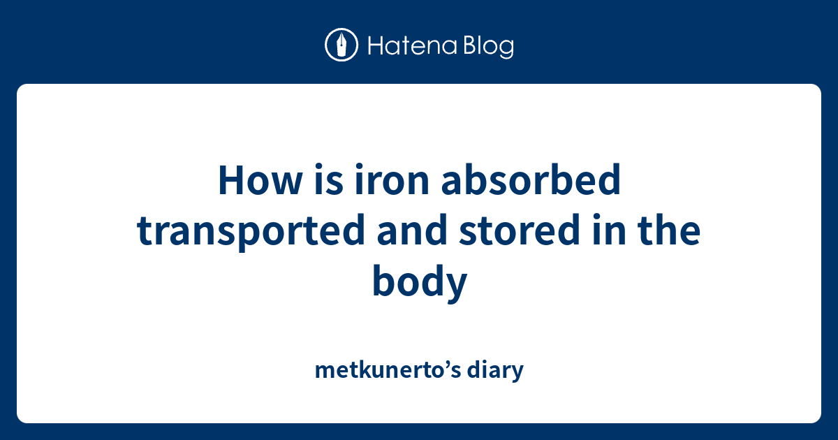 how-is-iron-absorbed-transported-and-stored-in-the-body-metkunerto-s