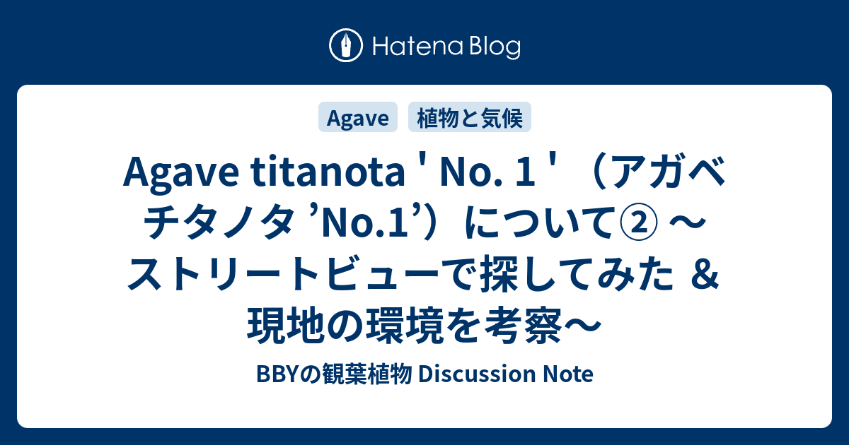 Agave titanota ' No. 1 ' （アガベ チタノタ 'No.1'）について