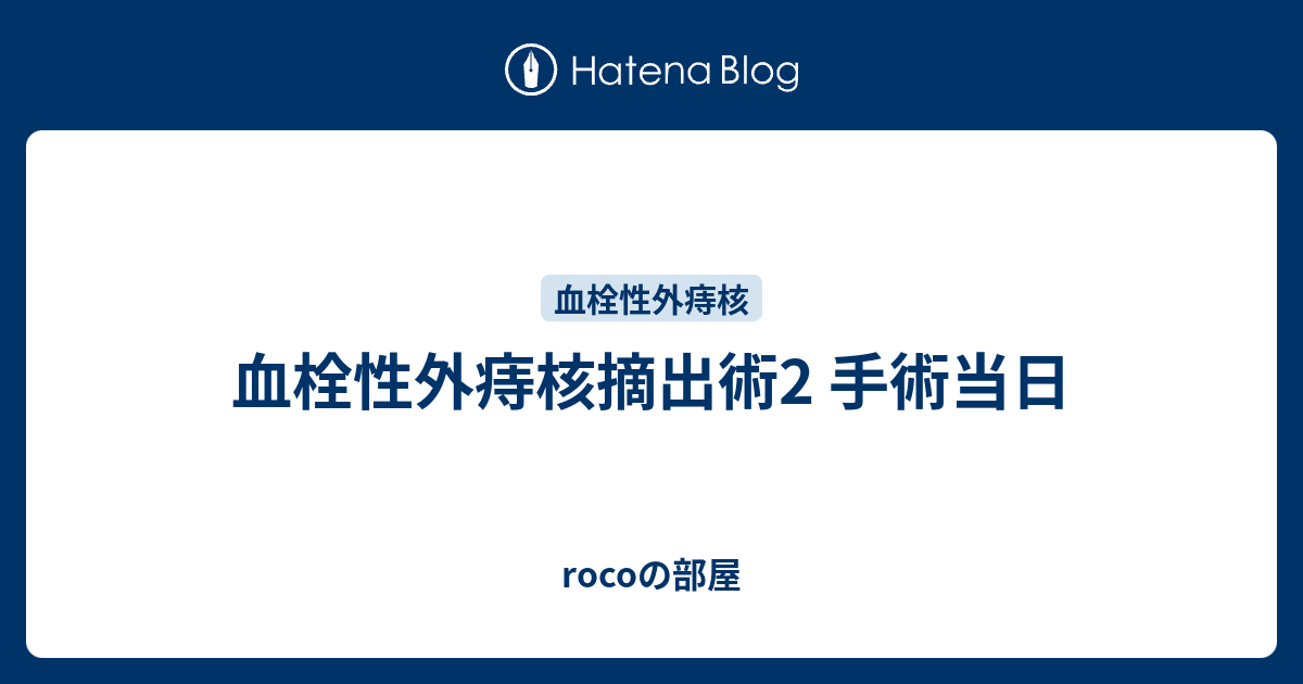 血栓性外痔核摘出術2 手術当日 - rocoの部屋