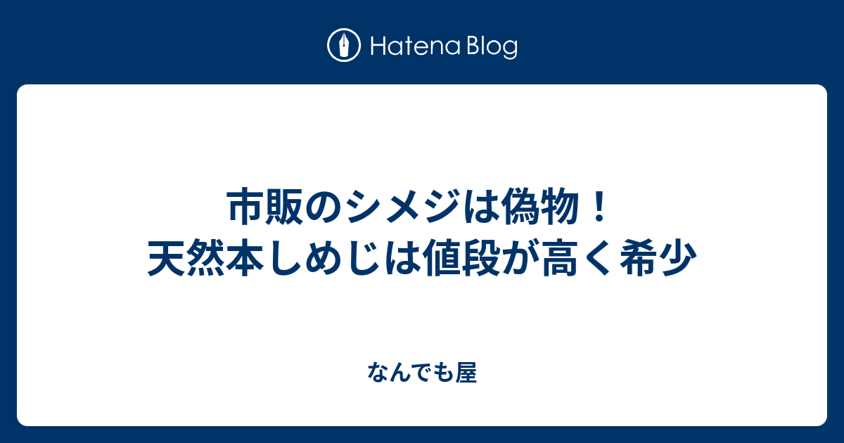 市販のシメジは偽物 天然本しめじは値段が高く希少 なんでも屋