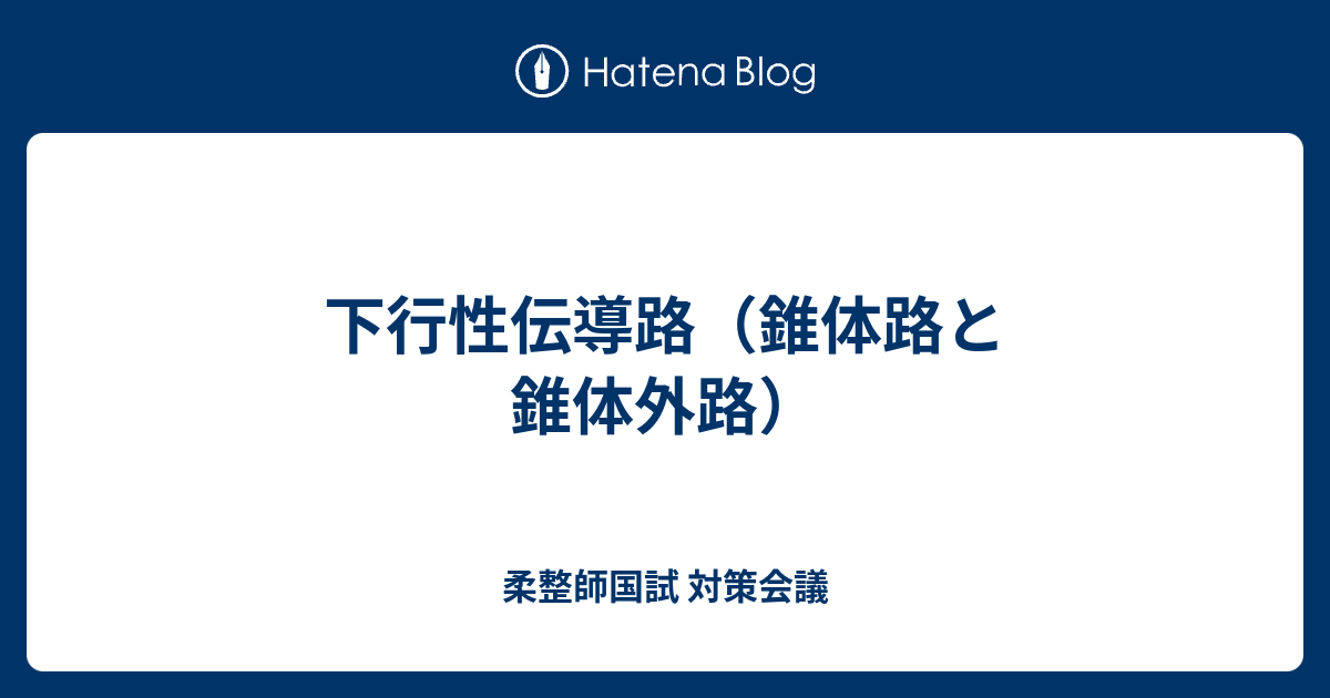 下行性伝導路 錐体路と錐体外路 柔整師国試 対策会議