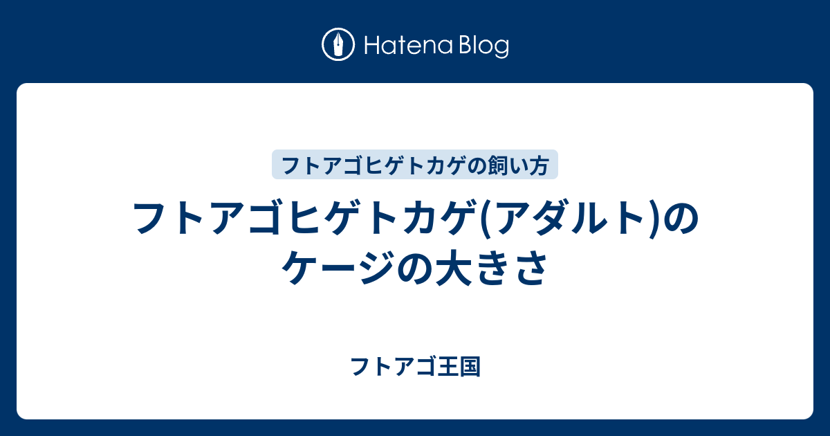 フトアゴヒゲトカゲ(アダルト)のケージの大きさ - フトアゴ王国