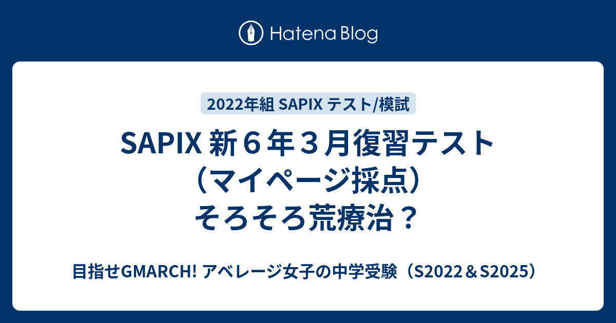 独特な 送料無料 サピックス 2022年度テスト6年(前期) 6年3月復習テスト 本