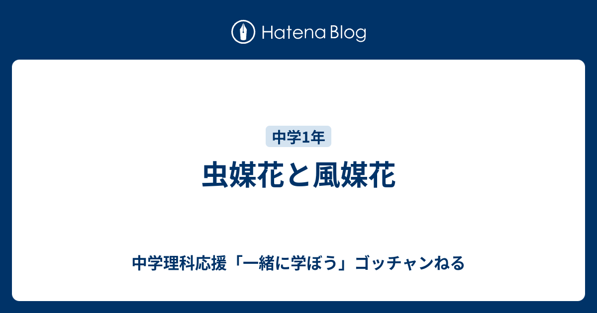 虫媒花と風媒花 中学理科応援 一緒に学ぼう ゴッチャンねる