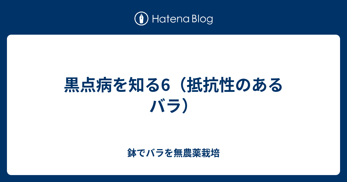 黒点病を知る6 抵抗性のあるバラ 鉢でバラを無農薬栽培
