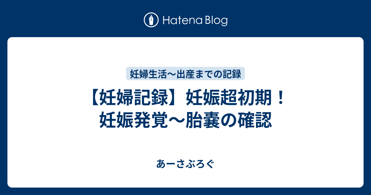 妊婦記録 妊娠超初期 妊娠発覚 胎嚢の確認 あーさぶろぐ