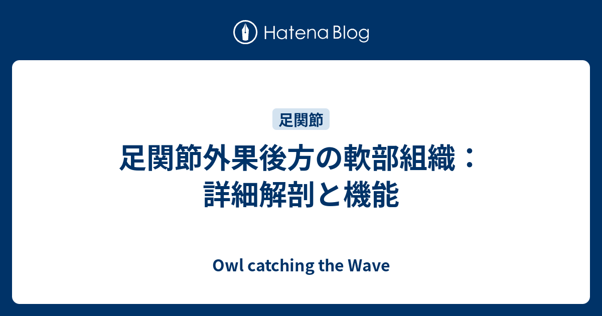 足関節外果後方の軟部組織：詳細解剖と機能 - Owl catching the Wave