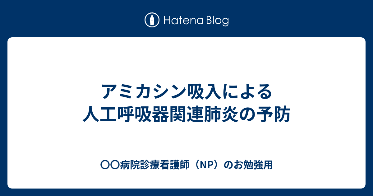 硫酸アミカシンヒポレイバーのリーフレット