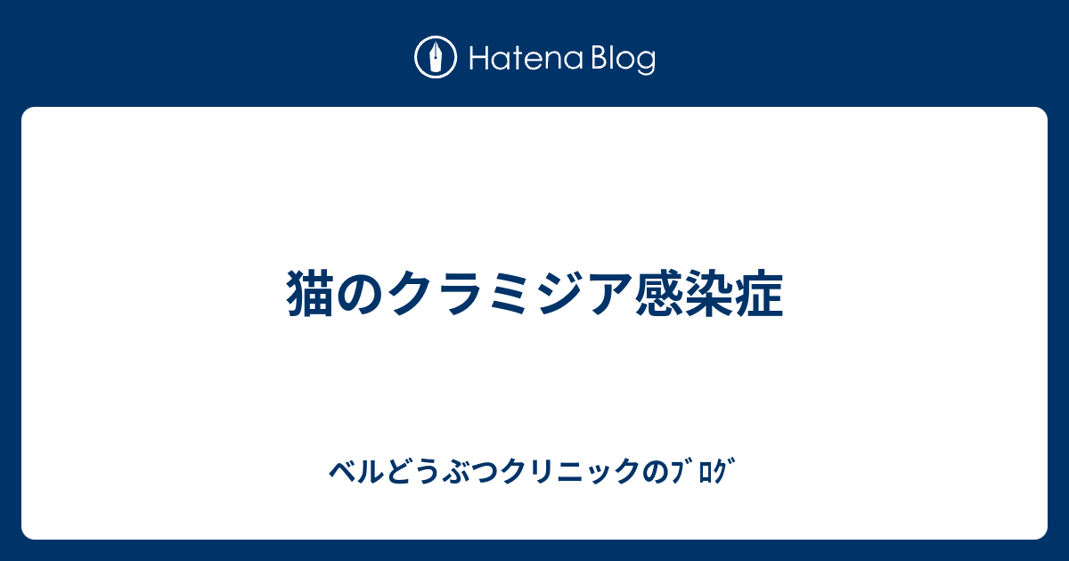 猫のクラミジア感染症 ベルどうぶつクリニックのﾌﾞﾛｸﾞ