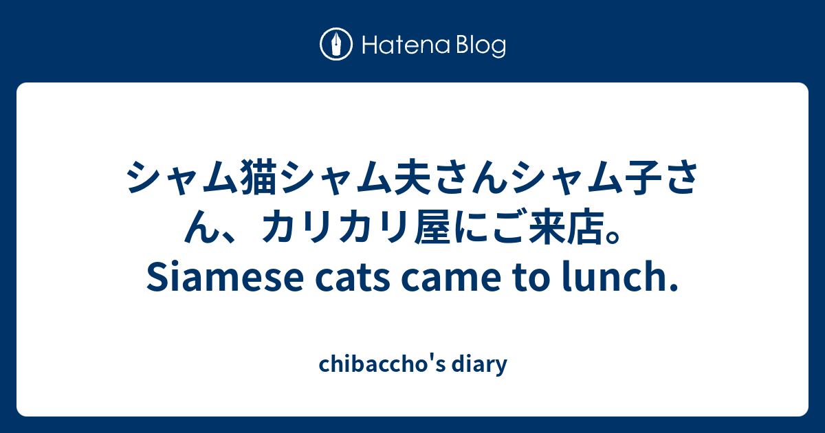 シャム猫シャム夫さんシャム子さん カリカリ屋にご来店 Siamese Cats Came To Lunch Chibaccho S Diary