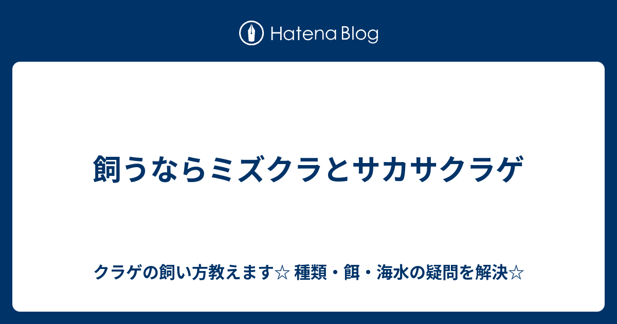 飼うならミズクラとサカサクラゲ クラゲの飼い方教えます 種類 餌 海水の疑問を解決