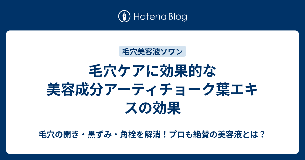 毛穴ケアに効果的な美容成分アーティチョーク葉エキスの効果 毛穴の開き 黒ずみ 角栓を解消 プロも絶賛の美容液とは