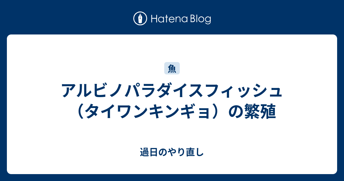 アルビノパラダイスフィッシュ タイワンキンギョ の繁殖 過日のやり直し