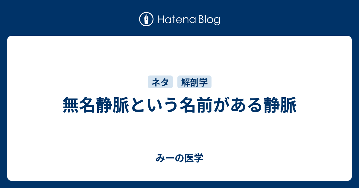 無名静脈という名前がある静脈 みーの医学