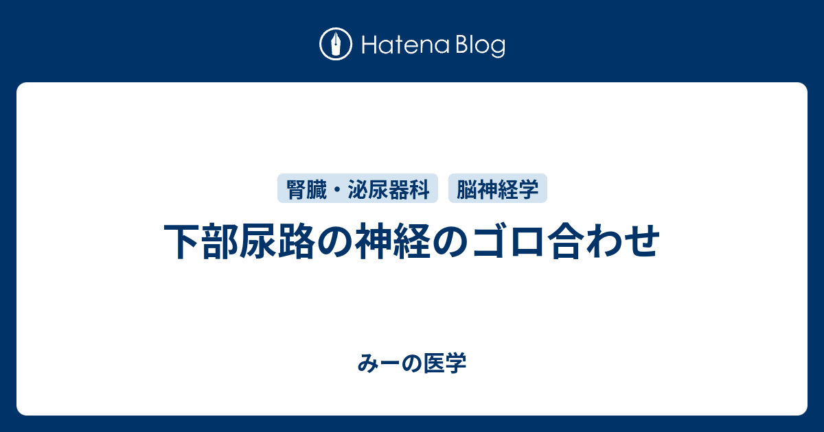 下部尿路の神経のゴロ合わせ みーは血液内科医 みーの医学