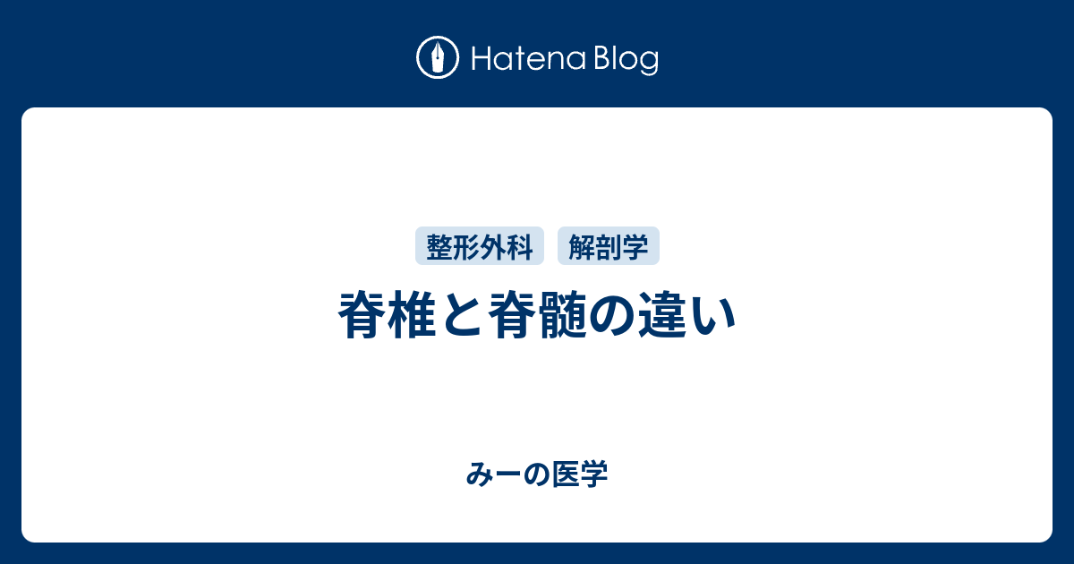 画像でみる脊椎・脊髄 その基礎と臨床 (新品) - 健康/医学