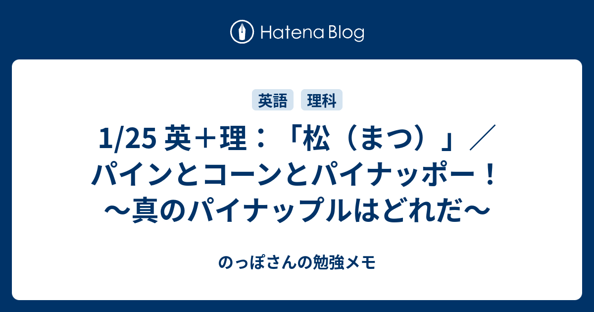 1 25 英 理 松 まつ パインとコーンとパイナッポー 真のパイナップルはどれだ のっぽさんの勉強メモ