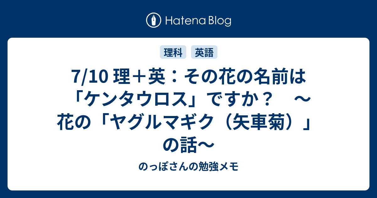 7 10 理 英 その花の名前は ケンタウロス ですか 花の ヤグルマギク 矢車菊 の話 のっぽさんの勉強メモ