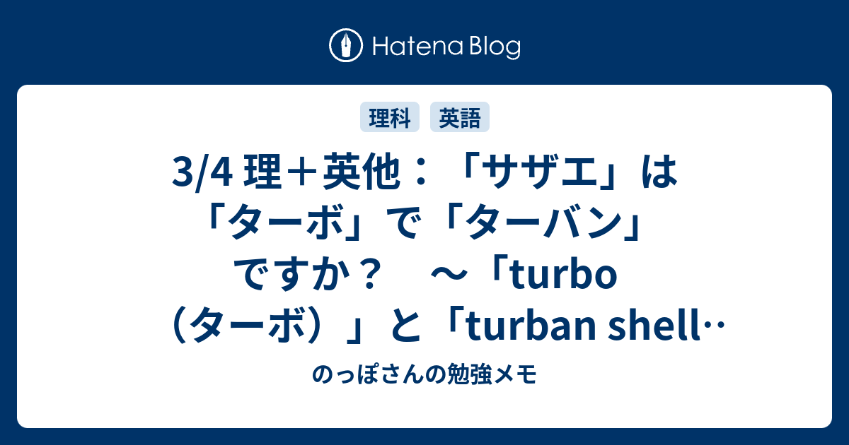 3 4 理 英他 サザエ は ターボ で ターバン ですか Turbo ターボ と Turban Shell ターバン シェル の話 のっぽさんの勉強メモ