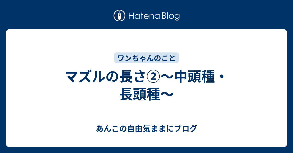 マズルの長さ 中頭種 長頭種 あんこの自由気ままにブログ