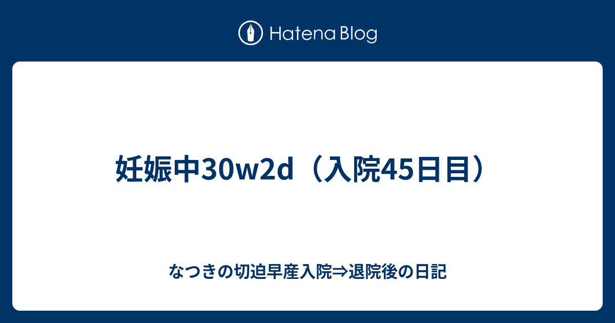 妊娠中30w2d 入院45日目 なつきの切迫早産入院 退院後の日記