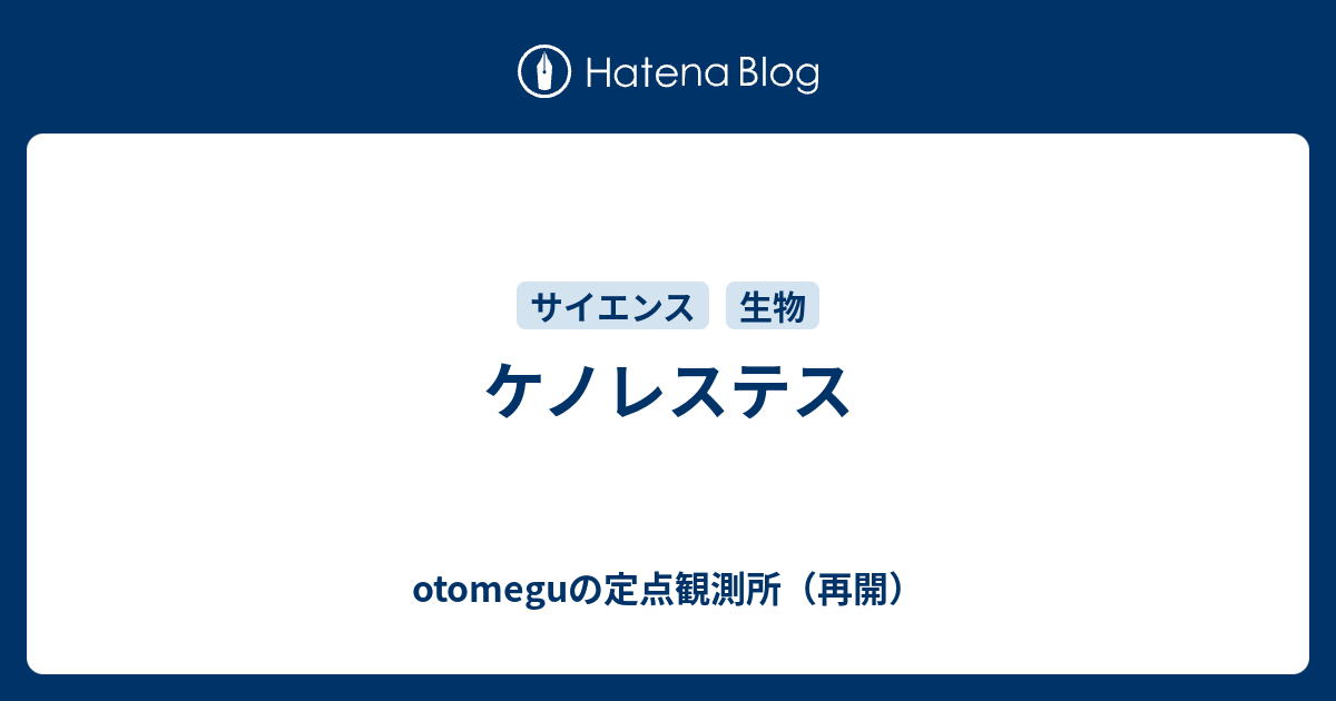 ケノレステス Otomeguの定点観測所 再開