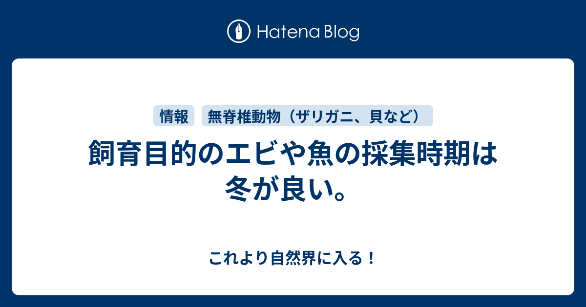 飼育目的のエビや魚の採集時期は冬が良い これより自然界に入る