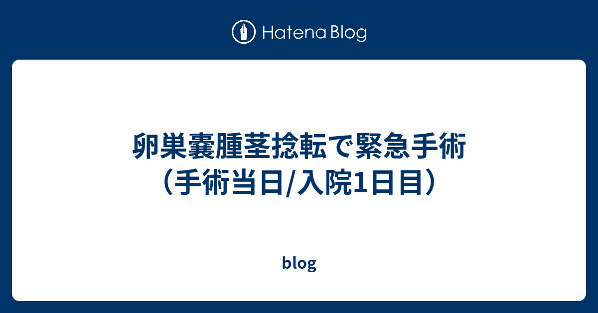 卵巣嚢腫茎捻転で緊急手術 手術当日 入院1日目 Blog